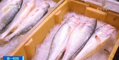 盐城水产品价格为何突然猛涨？