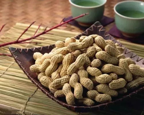 冬季养生佳品 花生的四大美名与健康益处