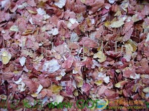 花生衣批发价格、厂家、图片信息详解与食品招商网推荐