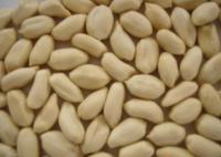 建锦(个体经营) 世界工厂网全球企业库中的花生供应商