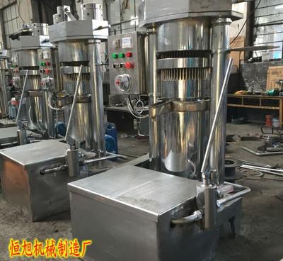 花生榨油全攻略 解读全自动液压榨油机厂家批发价格