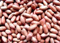 花生产品全品类供应 从生仁到多味花生