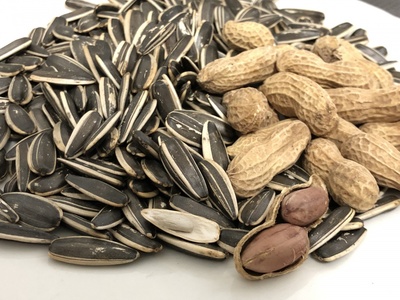 过年坚果大比拼 花生真的吃不胖吗？